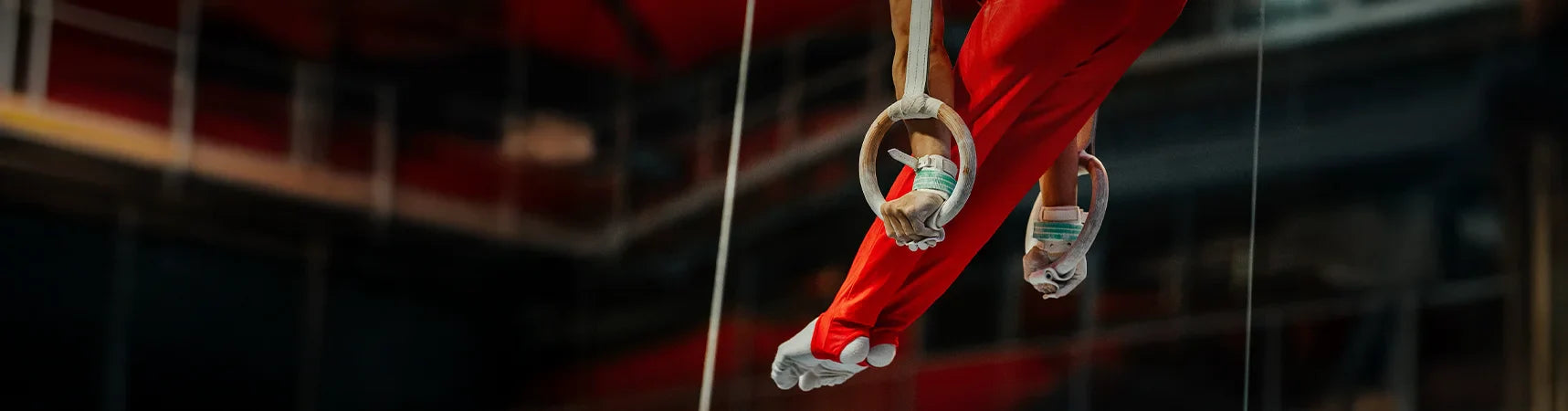 Ginnastica